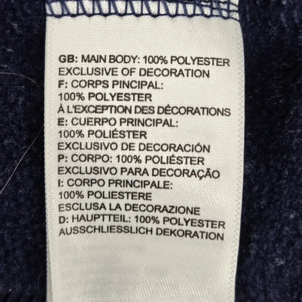 The‎ North Face Men Hoodie L Blue Fleece Pullover Gorpcore Logo Long Sleeve